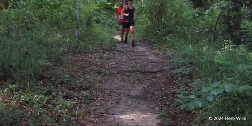 Gulf Winds Track Club's 2026 Summer Trail Race Series