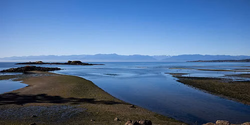 September Seaside Hypnosis for Stress & Anxiety Relief