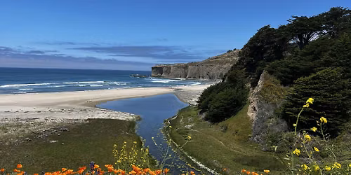 Library Nature Hike - Don Horsley County Park (Tunitas Creek Beach)