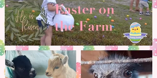 Easter On The Farm at Triple J Stables & Petting Zoo \ud83d\udc30\ud83e\udd9a\ud83e\udd9c\ud83c\udf38\ud83c\udf3b