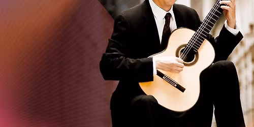 The Lush Guitar