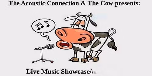 The Acoustic Connection Live Music Showcase at The Cow