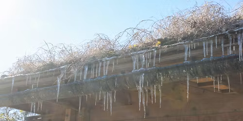 Nature Detectives: Brr It's Cold Outside