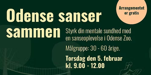 Odense sanser sammen