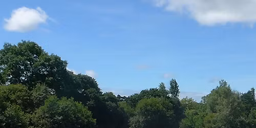 Erica Oldham Show Jumping Clinic - March