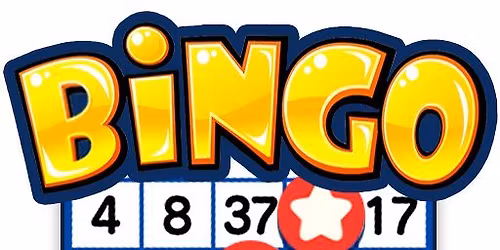 Monthly Bingo - November 13th