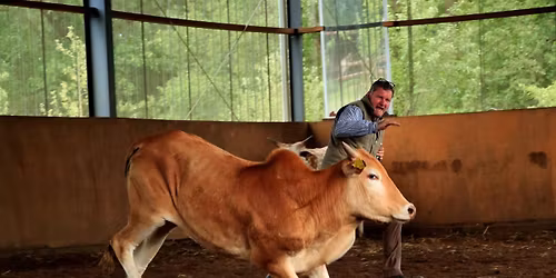 Rinderkurs f\u00fcr Fortgeschrittene