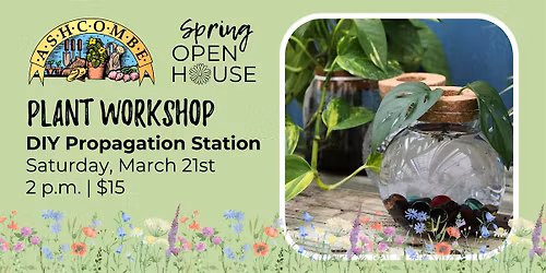 DIY Propagation Station