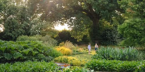 Summer Solstice at the Beth Chatto Gardens