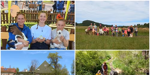 Farm\u00e1\u0159sk\u00fd p\u0159\u00edm\u011bstsk\u00fd t\u00e1bor \ud83d\udc34\ud83e\udd84\ud83d\udc10\ud83d\udc00\ud83e\udd86\ud83d\udc14\ud83d\udc15\ud83d\udc39\ud83d\udc07