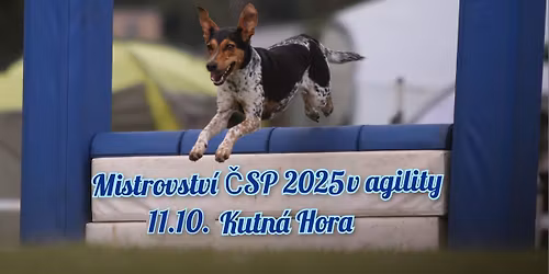 Mistrovství ČSP 2025 v agility 