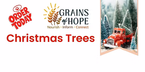 Grains of Hope Christmas Tree Fundraiser