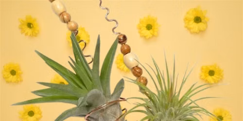 Up in the Air Workshop \u2014 Make a hanging air\u2011plant sculpture