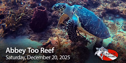 Abbey Too Reef Dive
