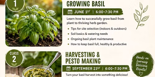 \ud83c\udf3f Class II: Harvesting & Pesto Making