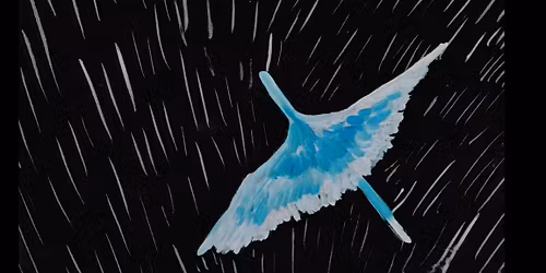 JACES - Projections et performances