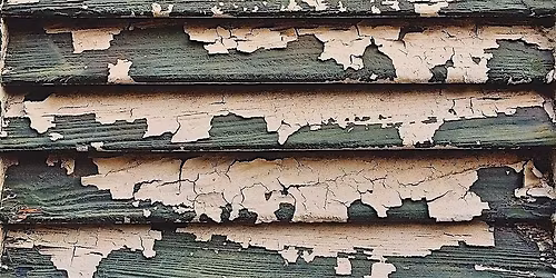 English Lead Poisoning Prevention and Mold Workshop In-Person