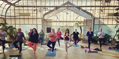 Yoga at the Conservatory