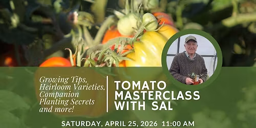 Tomato Masterclass