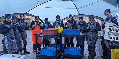 Native Oyster Biosecurity for DEEP - Heriot-Watt University