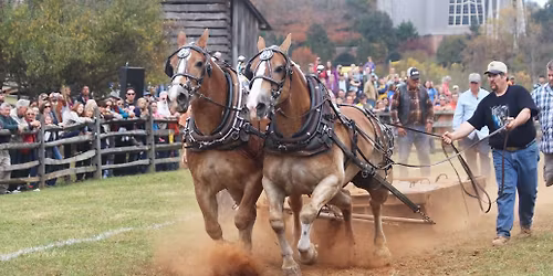 Blue Ridge Folklife Festival