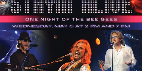 Stayin' Alive: One Night of the Bee Gees