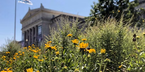 Drawing Inspiration: Art in the Gardens