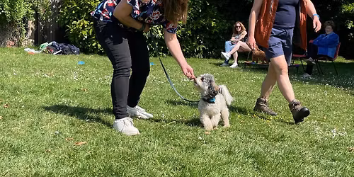 Lead Walking Workshop