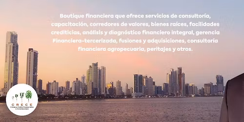 Domina el An\u00e1lisis Financiero