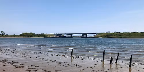 Shoreline Cleanup at Marine Park