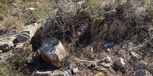 Reddington Road - Trash Bash & Splash