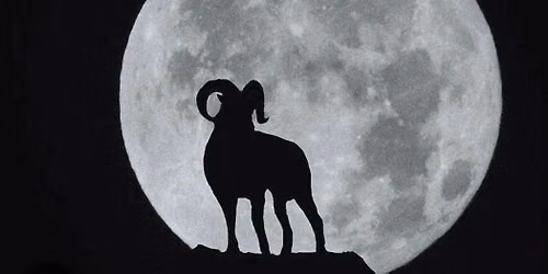 Full Harvest Moon in Aries Guided Meditation & Release