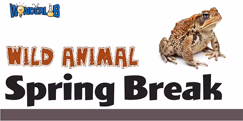 Wild Animal Spring Break