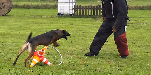 Mondioring Helfer-Workshop mit Cedric Gottfreund