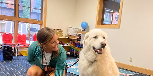 Pet Partners Team Evaluation