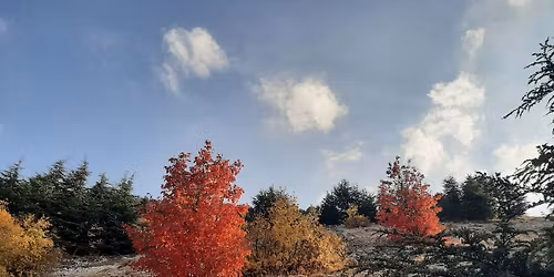 COLORFUL TRAIL AT BAROUK & MAASER EL SHOUF on Sat, Nov 15, 2025 with DALE CORAZON - LEBANON EXPLORER