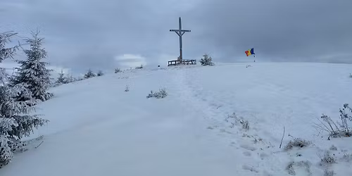 \ud83c\udfd4\ufe0f Drume\u021bie \ud83d\udd34100 lei Mun\u021bii Baiului\nAzuga \u2013 Cl\u0103bucetul Taurului \u2013 Cabana G\u00e2rbova \ud83c\udf32