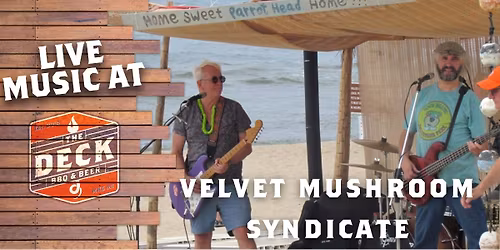 VELVET MUSHROOM SYNDICATE LIVE @ THE DECK