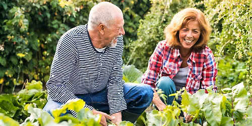 Healthy 55: How to Grow Thriving House Plants for 55+