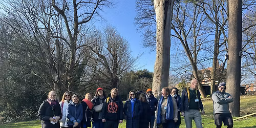 Crystal Palace Park - mixed adult forest bathing