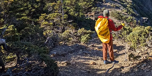 \u7389\u5c71\u4e3b\u5cf0\u591c\u5bbf\u6392\u96f2\u5c71\u838a*\u63d0\u524d\u5be6\u540d\u62bd\u7c64