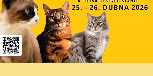 Ko\u010dky Praha 2026