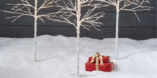 Griffiths-Scott School Xmas Market