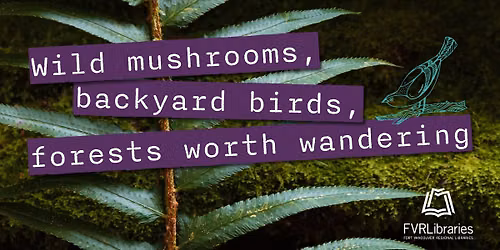 Mushroom Hunting for Beginners