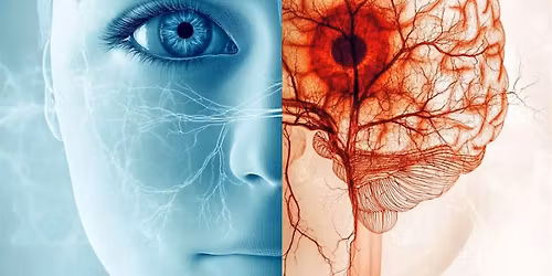 Clear Vision, Clearer Minds: The Eye\u2013Brain Connection in Dementia