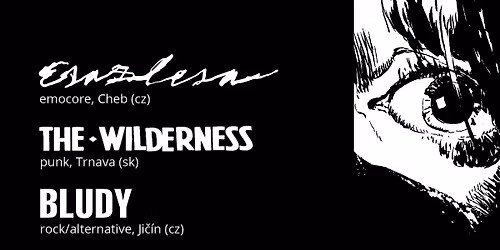 ESAZLESA \/ THE WILDERNESS \/ BLUDY