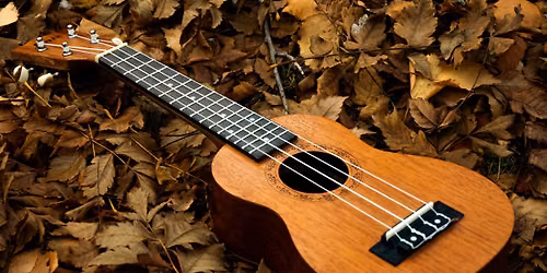 Strum by the Sound at Milford VFW