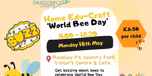Home Edu-Craft Pleasley - World Bee Day