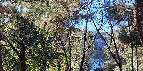 YOGA IN THE PARK - WITH THE FRIENDS OF BELTZVILLE