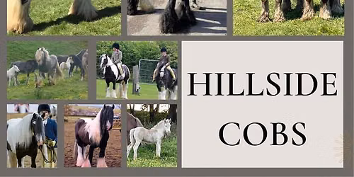 Dispersal Sale of Hillside Cobs